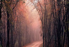 C罗：欧洲总误解沙特只会砸钱，觉得会花10亿砸哈兰德姆巴佩.