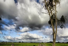 20-21賽季西甲聯賽第27輪比賽集錦.