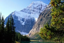 埃文·弗格森：考駕照比踢比賽都困難！.