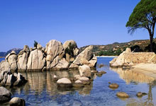 海地极端暴力浪潮致多人死亡 六千余人流离失所.